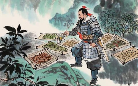 蔡李佛文化的精髓：武术、医学与食养的全方位健康体系
