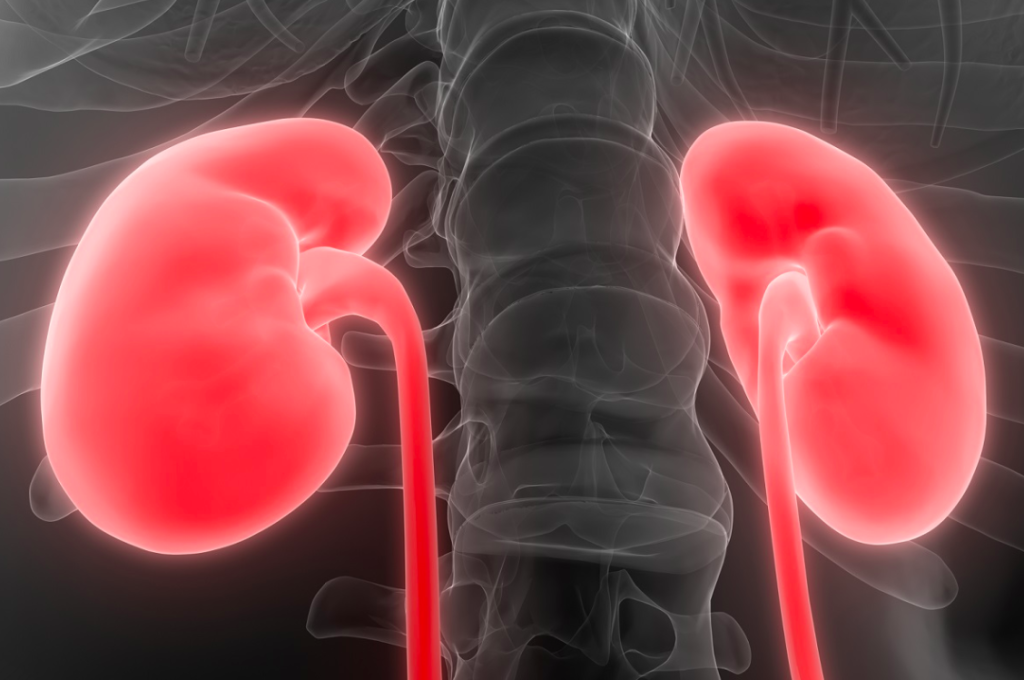 腰不好,痛风难好?——从中医角度看“腰椎与痛风”的内在联系
