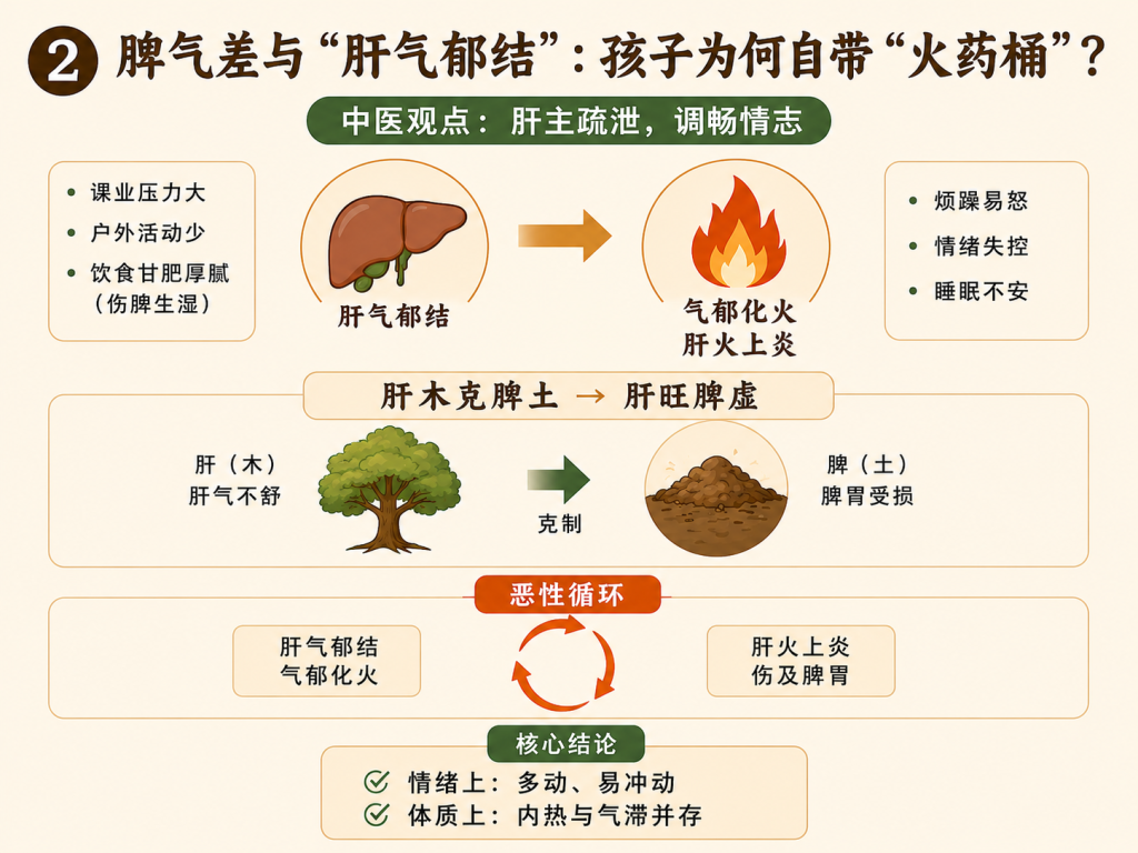 孩子脾气大、坐不住?别只当“多动症”治,根源可能在“体质”与“结构”里!